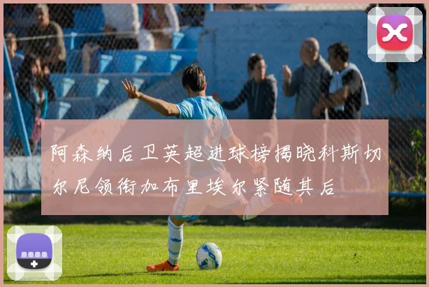 阿森纳后卫英超进球榜揭晓科斯切尔尼领衔加布里埃尔紧随其后
