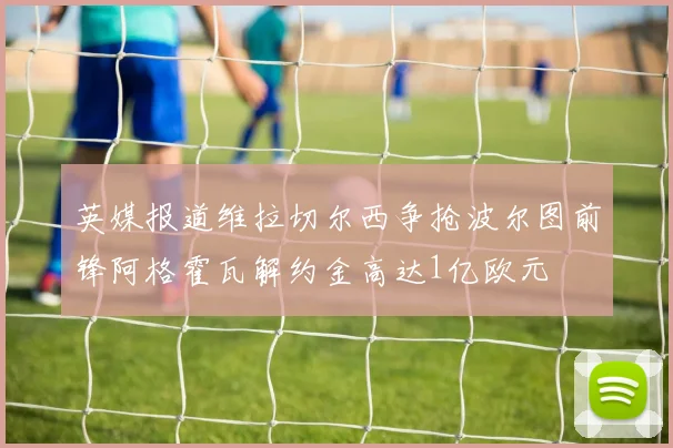 英媒报道维拉切尔西争抢波尔图前锋阿格霍瓦解约金高达1亿欧元