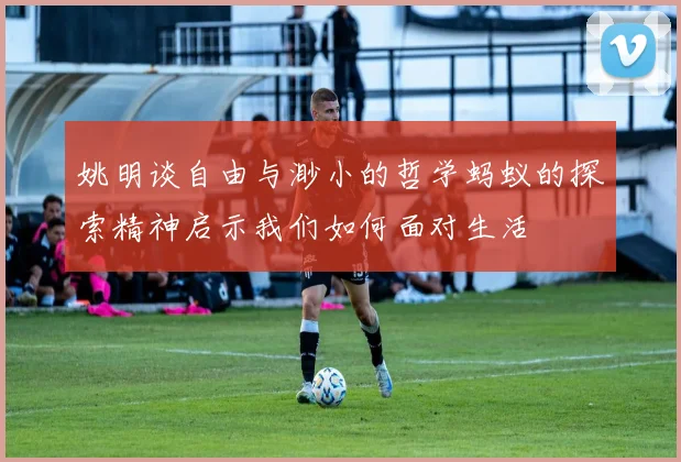 姚明谈自由与渺小的哲学蚂蚁的探索精神启示我们如何面对生活